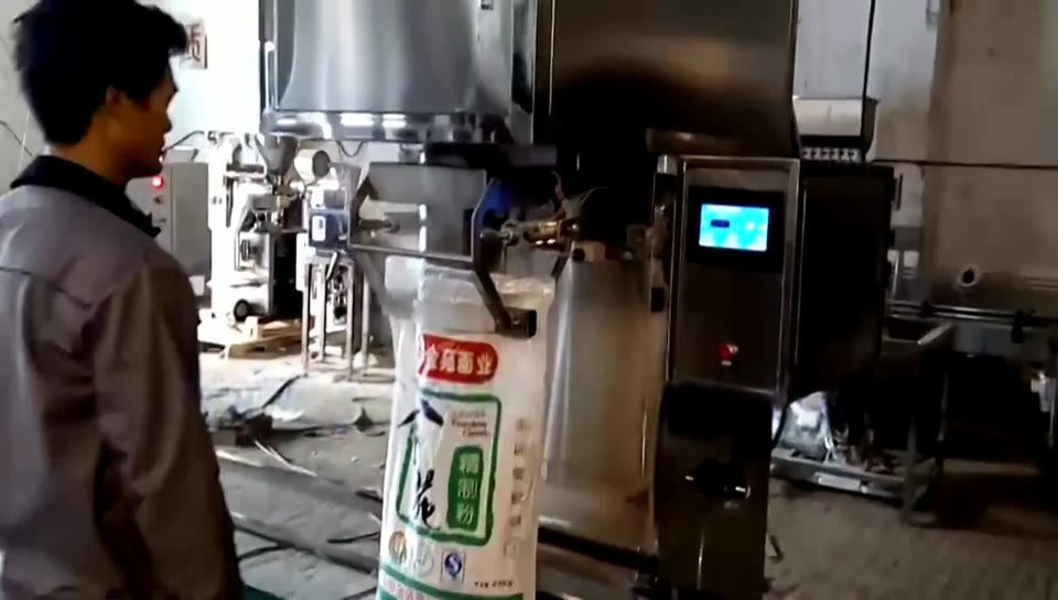 Open-mouth bag filling — V004