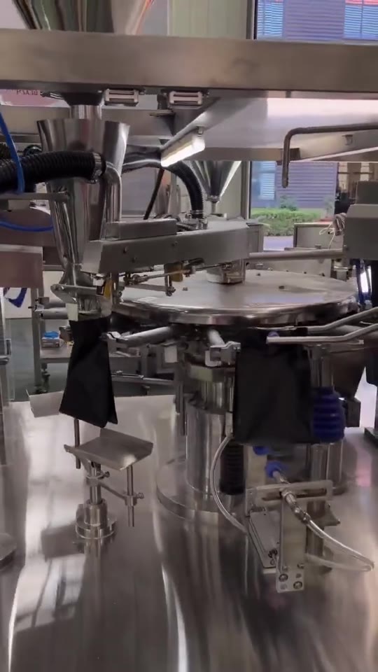 Rotary pouch filling and sealing — V007