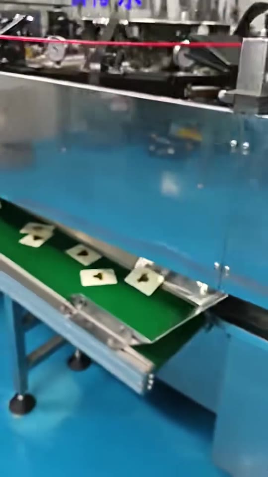 Rotary pouch filling and sealing — V037