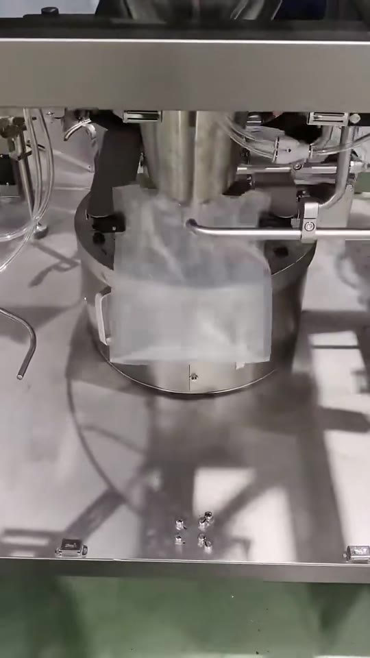 Rotary pouch filling and sealing — V040