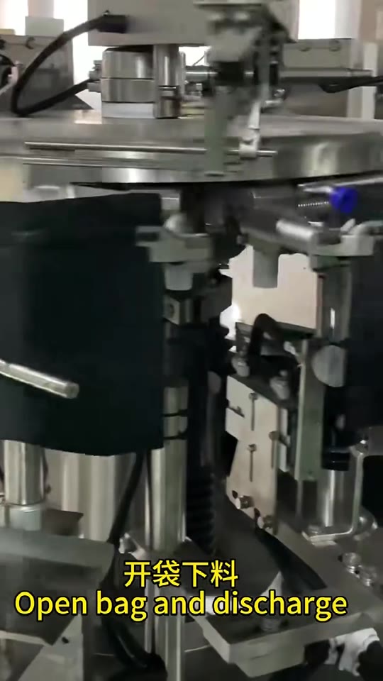 Rotary pouch filling and sealing — V071